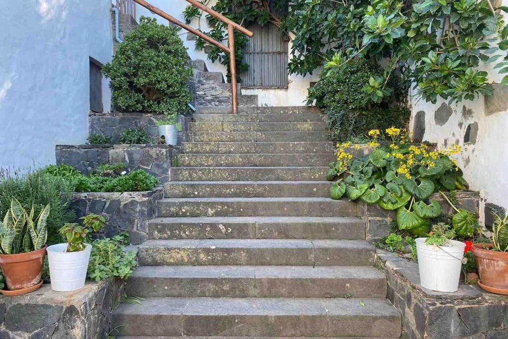 Casita Bioclimatica En El Campo Daire Arucas Dış mekan fotoğraf