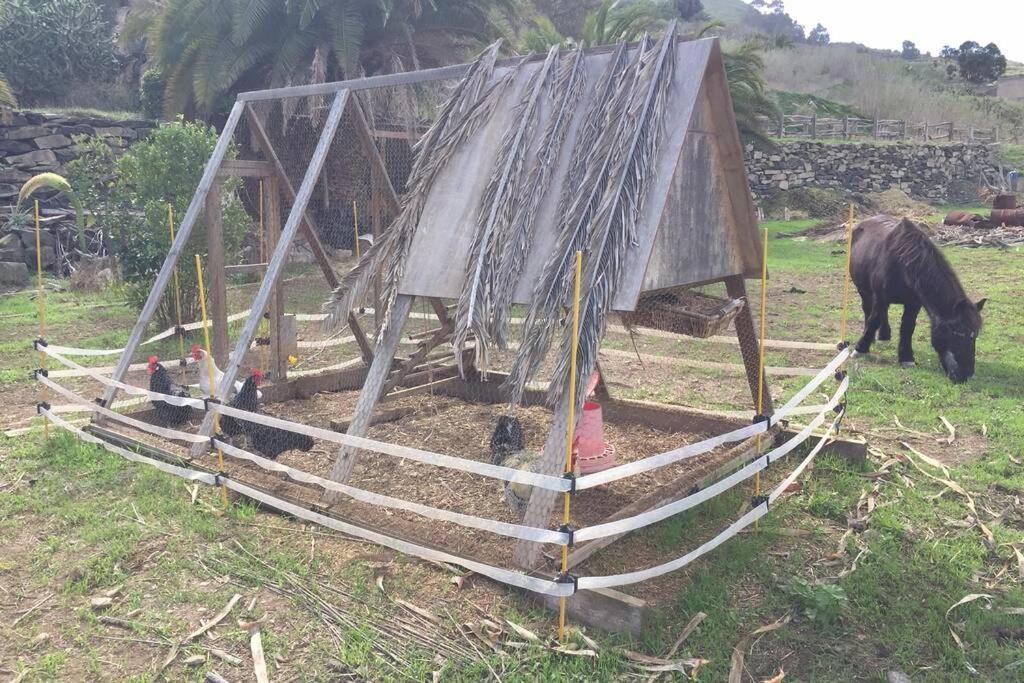 Casita Bioclimatica En El Campo Daire Arucas Dış mekan fotoğraf